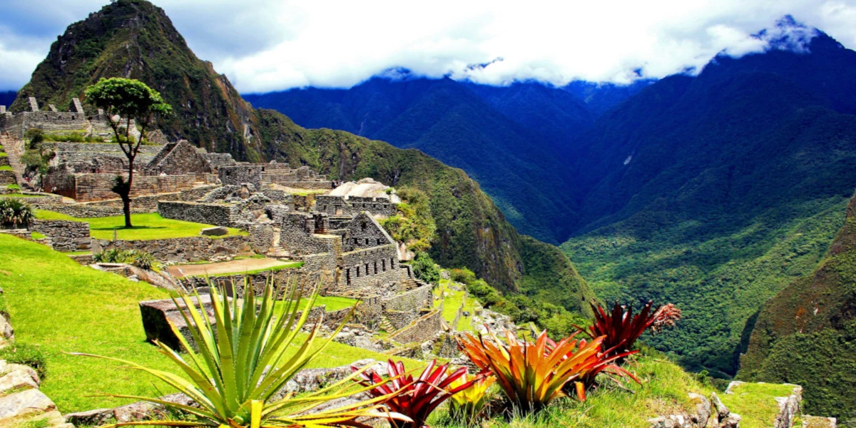 eSIMGEN Hero Showcase